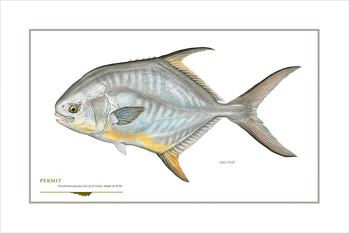 Permit
