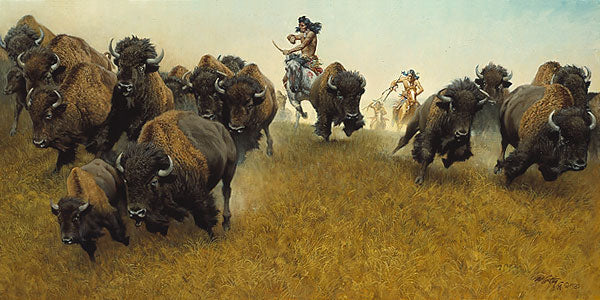 BUFFALO RUNNERS