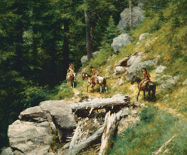 Trail in the Bitter Roots