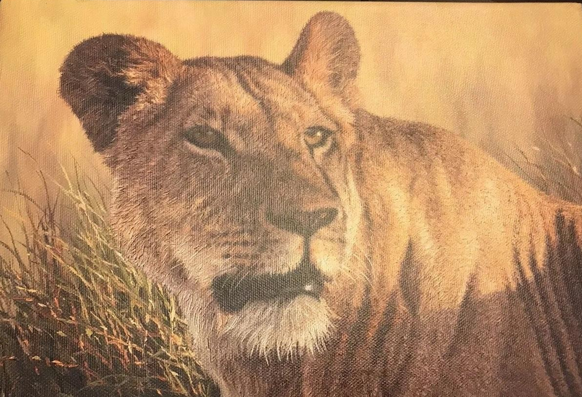 Eyes of the Serengeti