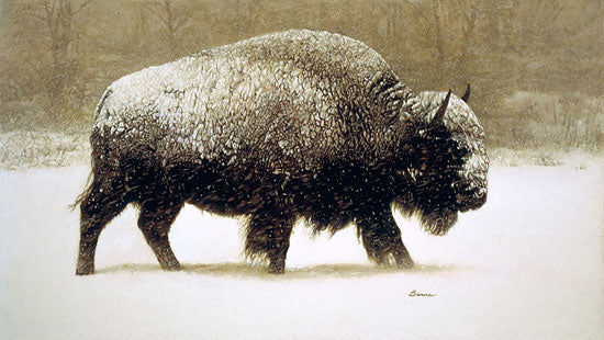 Buffalo in Storm