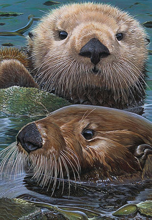 Otter Wise