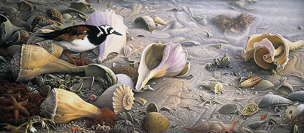 Sea Treasures