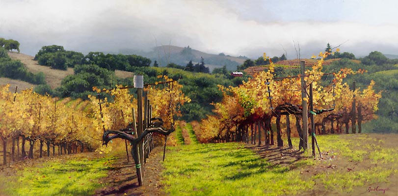 Fall Vineyard