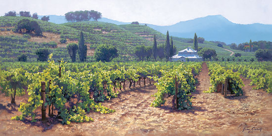 Sonoma Valley Summer