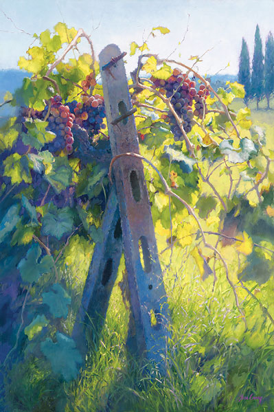 Imported Vines