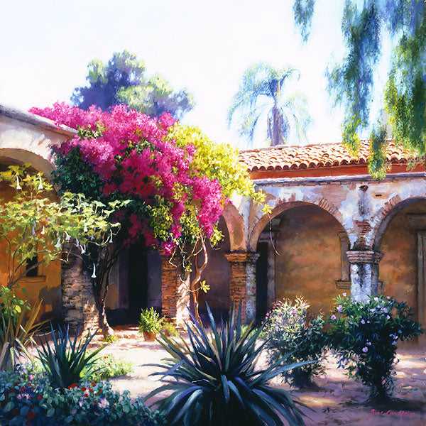 Bougainvillea
