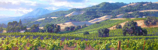 Song of the Wine Country