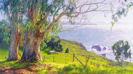 The Eucalyptus Coast