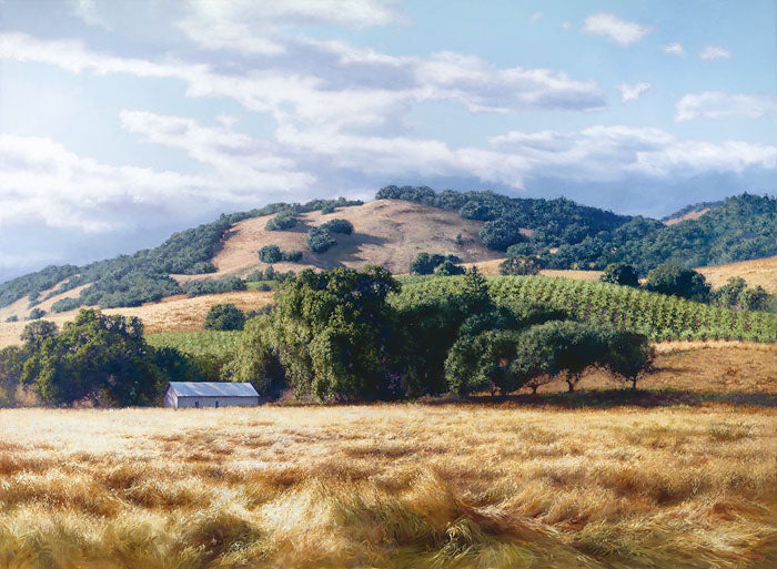 California Wine Country