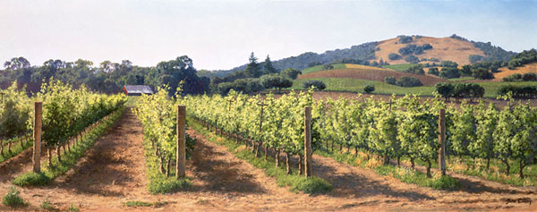 Vineyard Before the Harvest