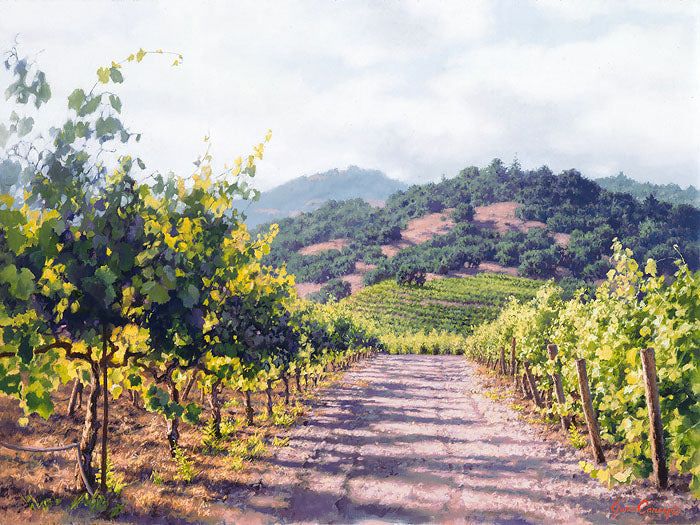 Vineyard Lane