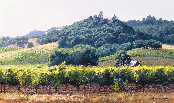 Summer Vineyard