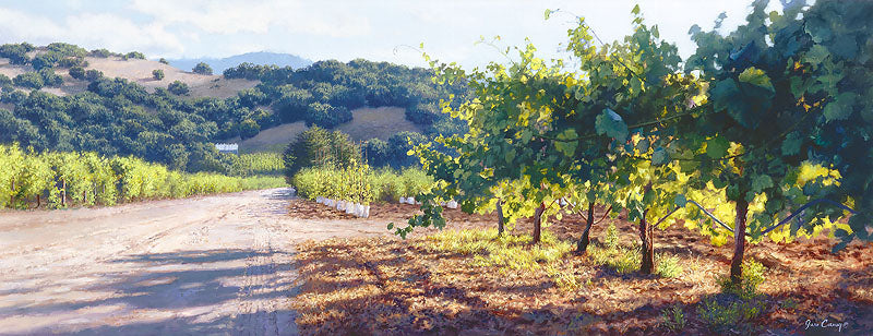 Through the Vines