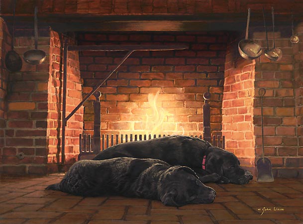 Fireside Friends