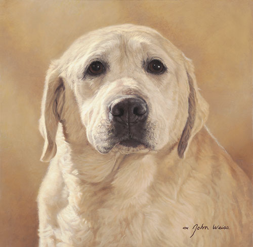 Maggie: Portrait of a Friend