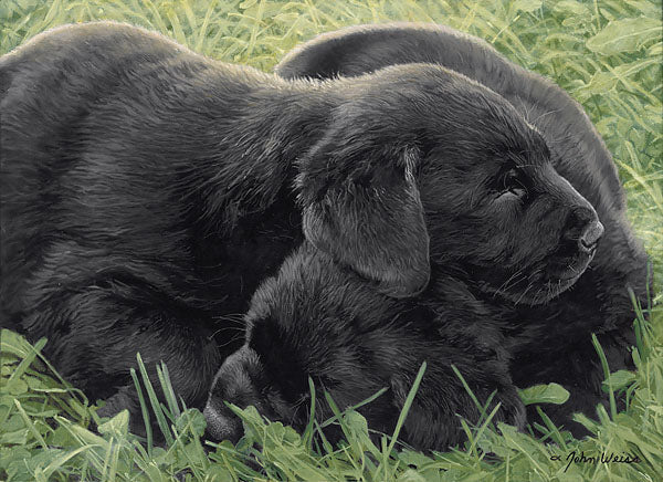 Naptime