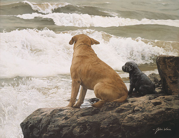 No Swimming Lessons Today