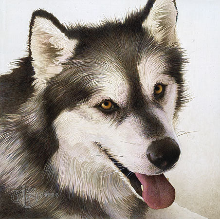 Alaskan Malamute