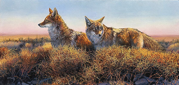 Desperados