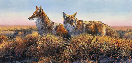 Desperados