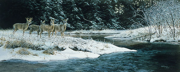 HONEY CREEK WHITETAILS
