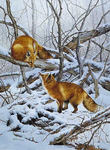 COURTSHIP