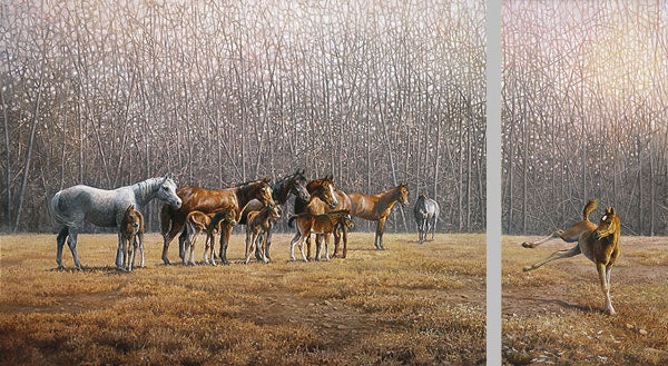 The Playground Showoff