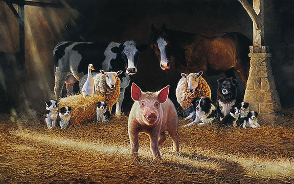 A Little Pig with a Big Heart