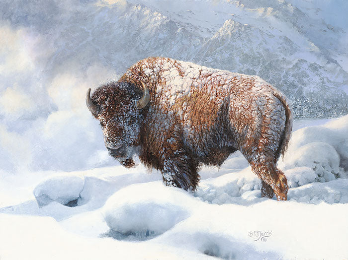 Early Blizzard