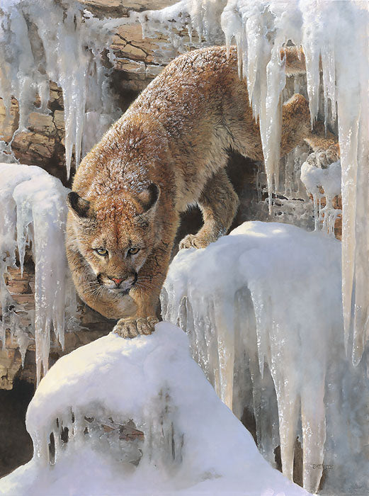 Ice Princess