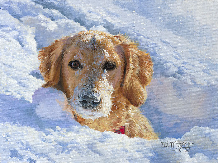 For the Love of Snow