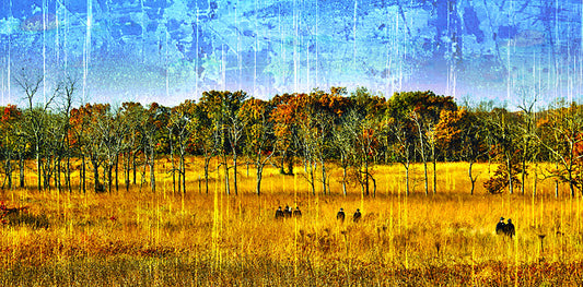 Fields of Gold
