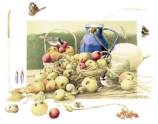 Autumn Celebration