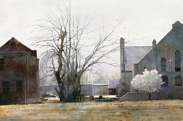 Early Spring in St. Louis
