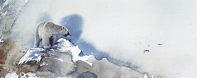Polar Bear