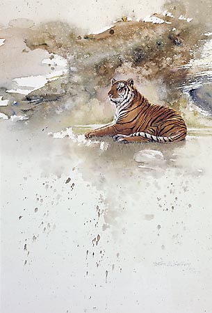 Bengal Tiger
