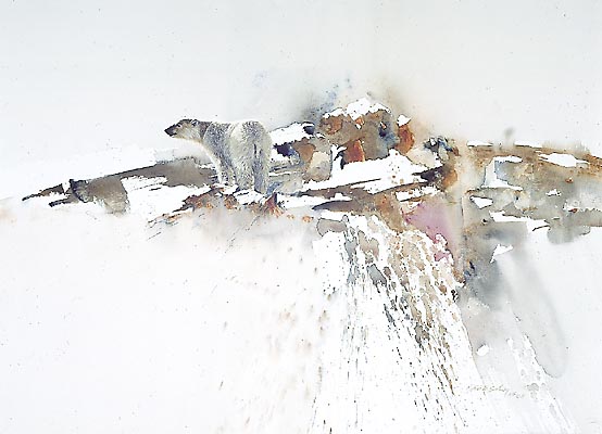Arctic Monarch
