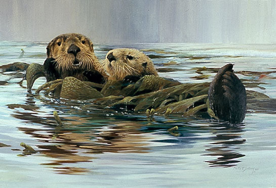 Sea Otters