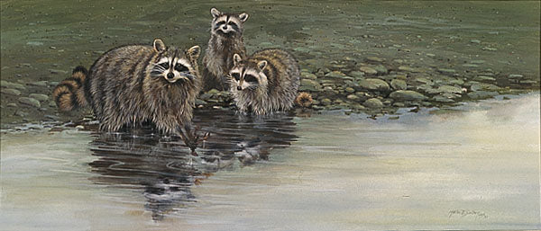 The Bandits