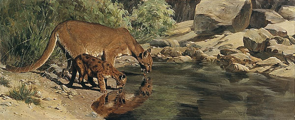 Tomorrow May Be Cooler