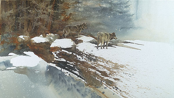 Challenge of The Wild