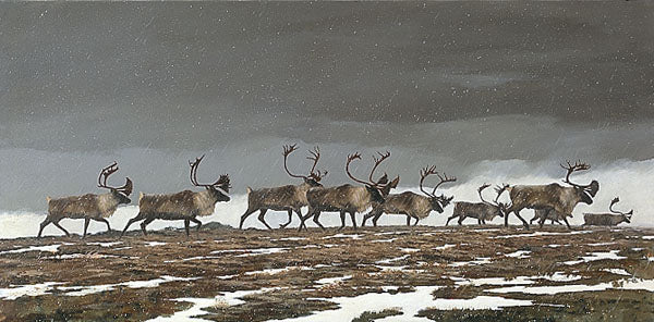 Across The Tundra