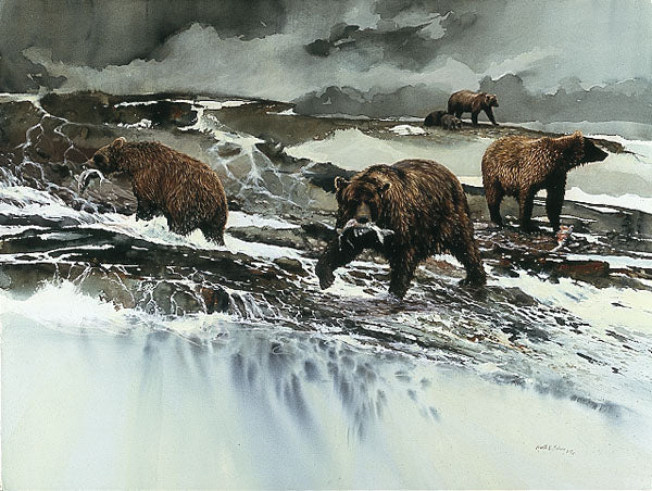 McNeil River Fishermen