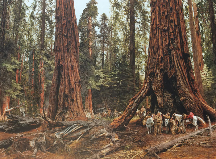 In the Land of the Giants