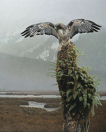 Misty Morning Sentinel
