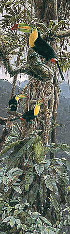 LOS COLORES DE CHIAPAS