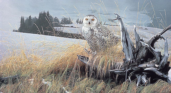 TUNDRA WATCH