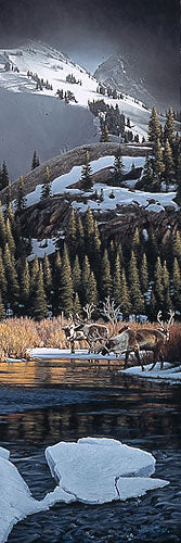 WOODLAND CROSSING