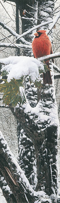 WINTER'S BRILLIANCE